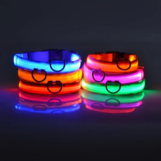 Glow-in-the-Dark Dog Collar