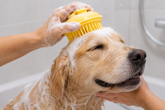 PawSpa Bathing Brush