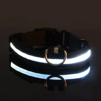 Glow-in-the-Dark Dog Collar