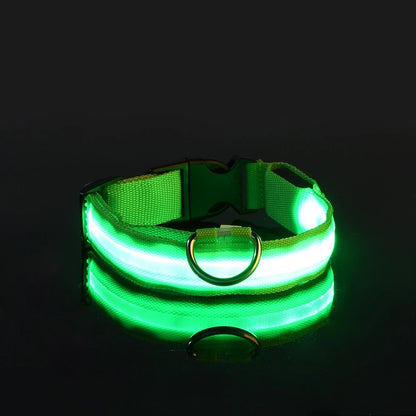 Glow-in-the-Dark Dog Collar