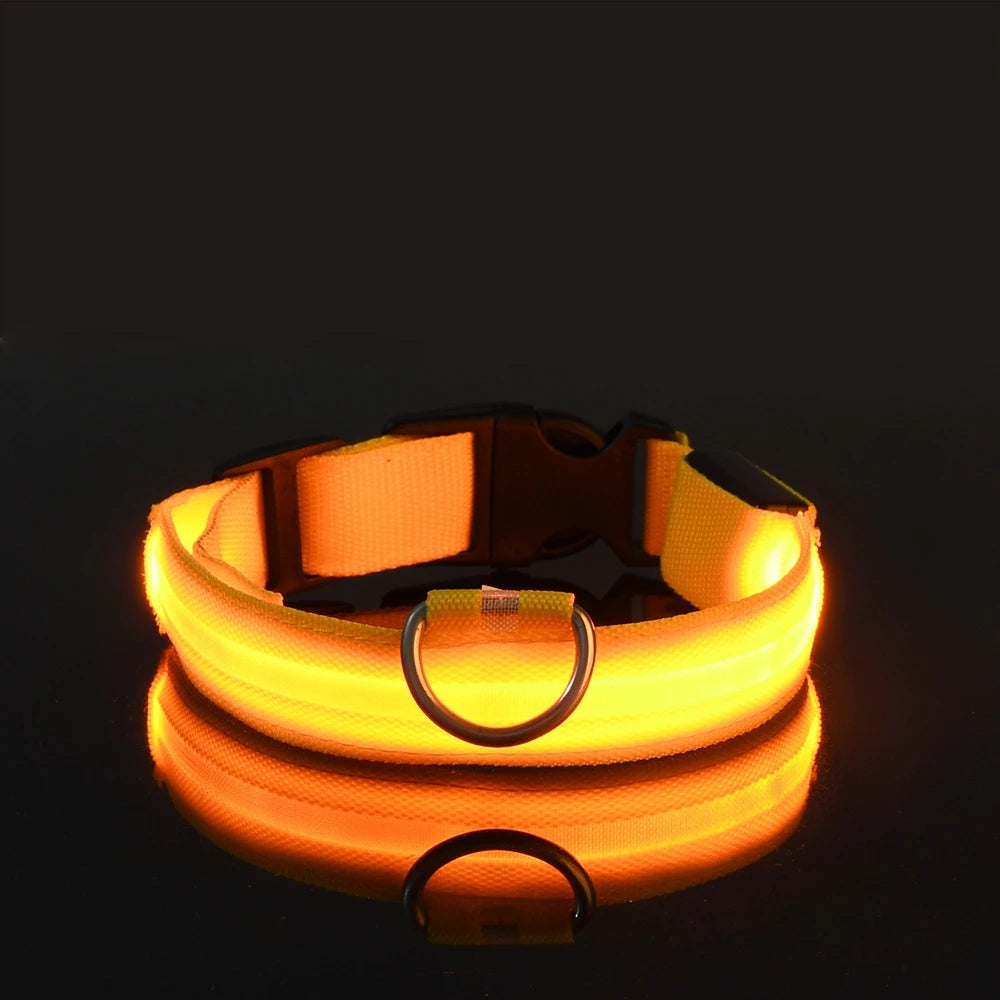 Glow-in-the-Dark Dog Collar