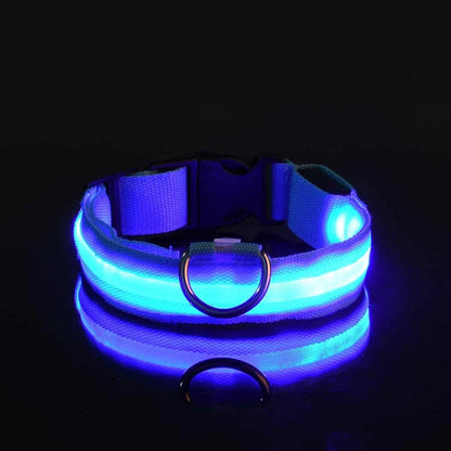 Glow-in-the-Dark Dog Collar