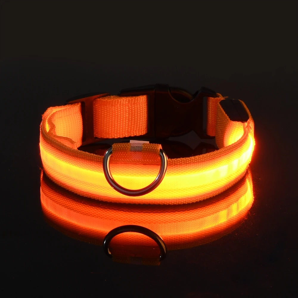 Glow-in-the-Dark Dog Collar